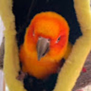 Meet your Posher, Evan